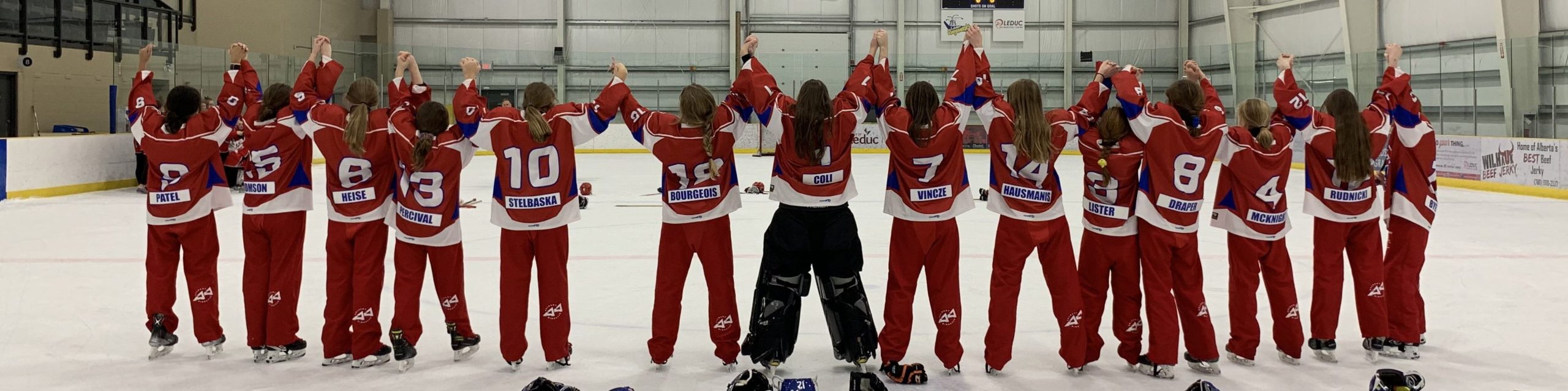 AA Ringette Calgary site by RAMP InterActive